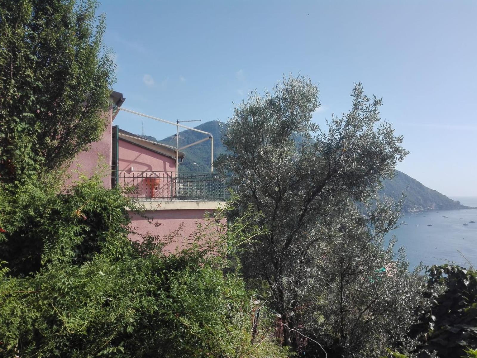 Terrazzo Sul Mare Camogli Exterior foto